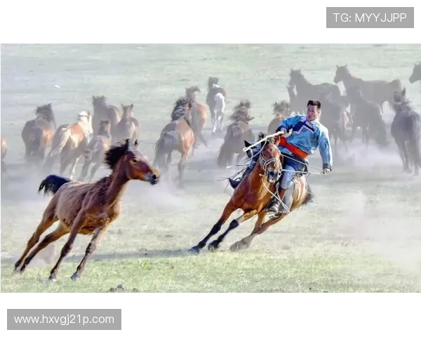 马背天骄：锡林郭勒草原驯马人的传奇与传承(2)